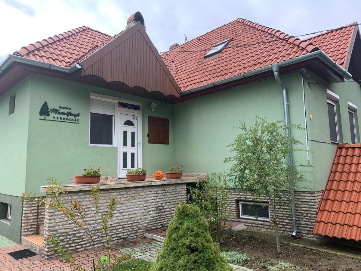 Bakonyi Mamutfenyő Vendégház Tés Extérieur photo