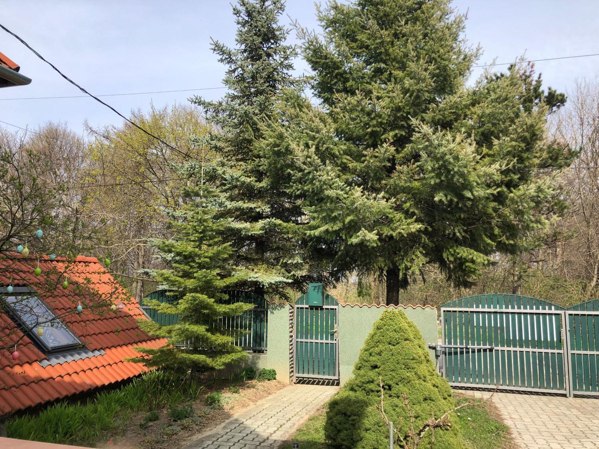 Bakonyi Mamutfenyő Vendégház Tés Extérieur photo