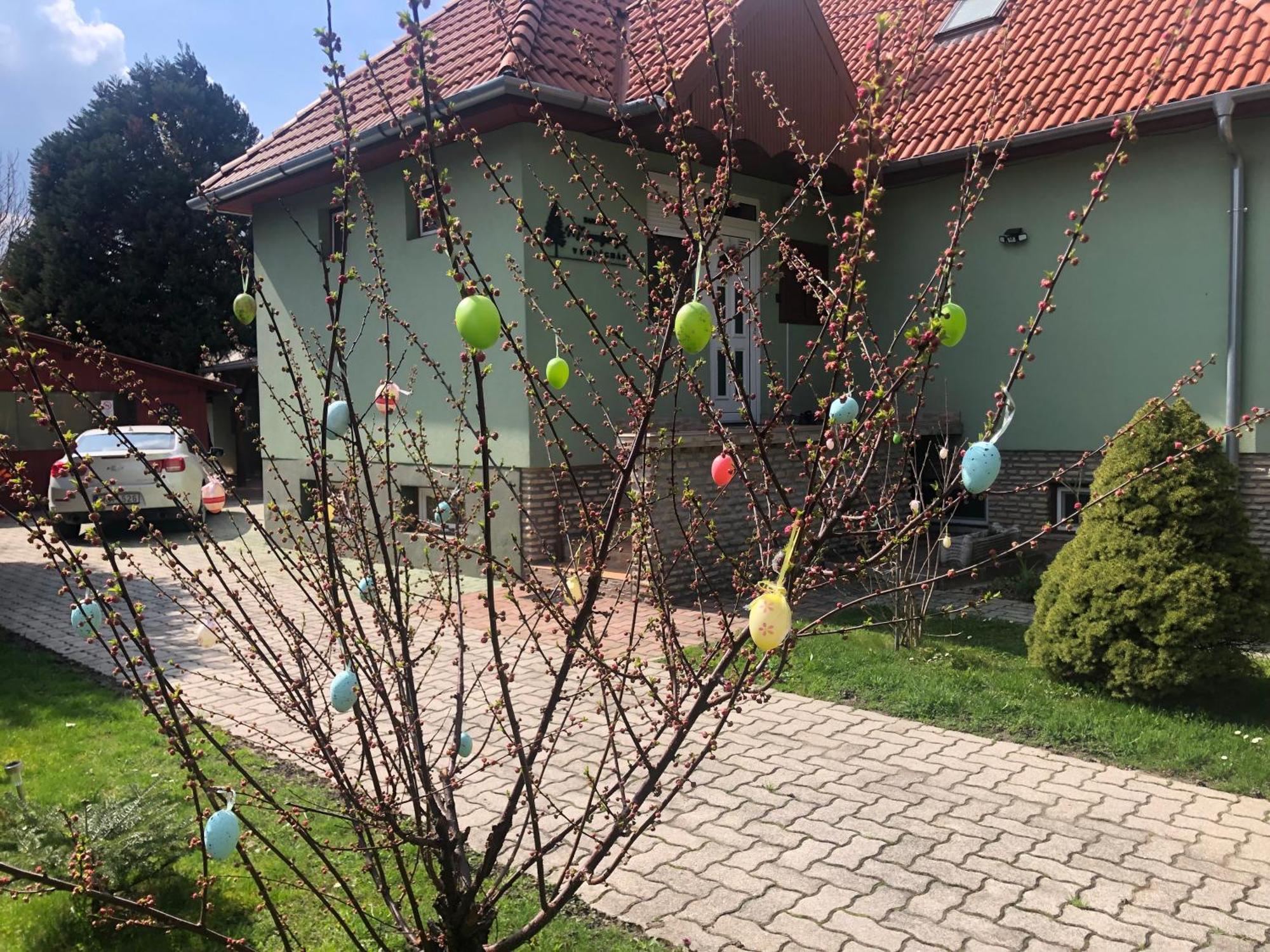 Bakonyi Mamutfenyő Vendégház Tés Extérieur photo