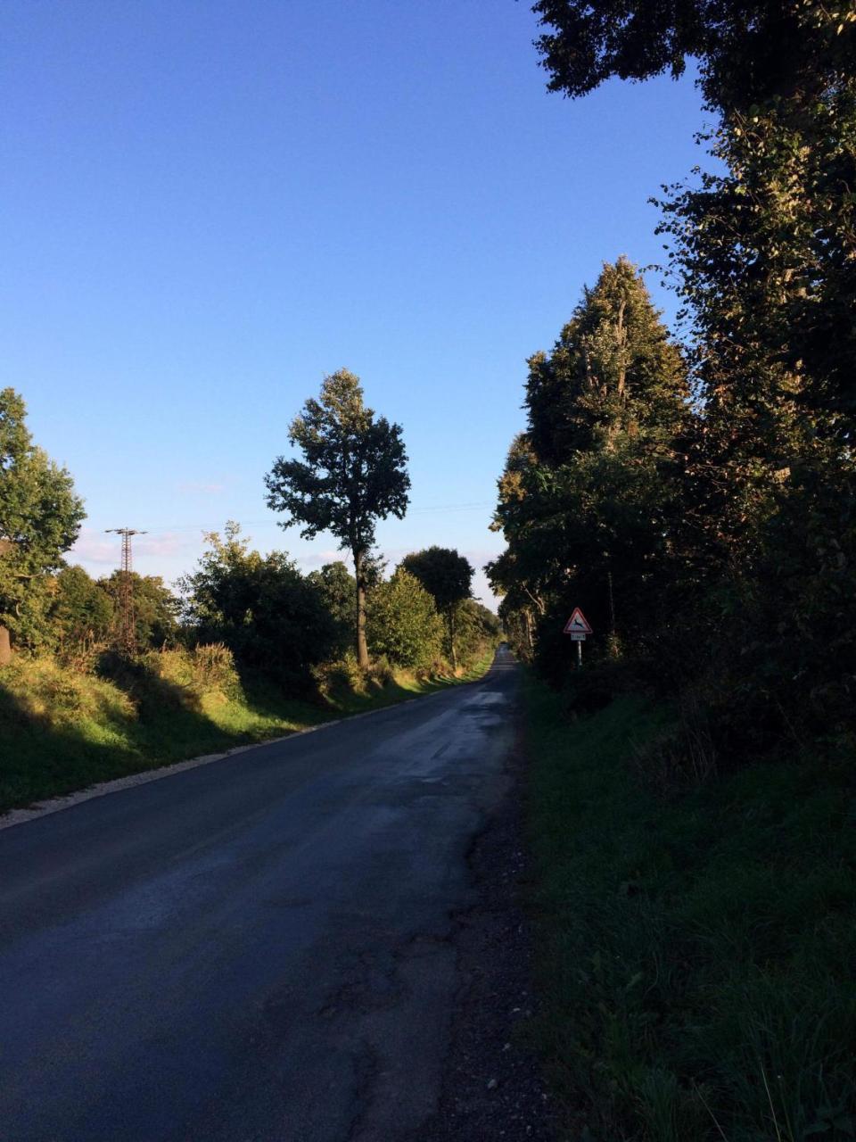 Bakonyi Mamutfenyő Vendégház Tés Extérieur photo